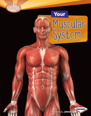 Your Muscular System (Searchlight Books (TM) -- How Does Your Body Work?) By Rebecca L. Johnson Cover Image