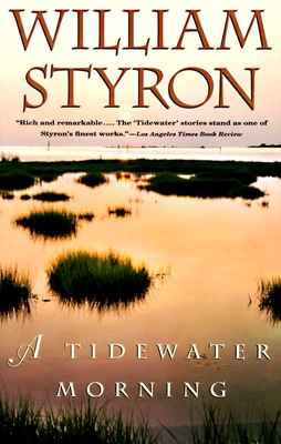 A Tidewater Morning (Vintage International)