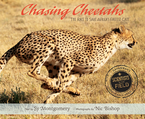 Chasing Cheetahs: The Race to Save Africa's Fastest Cat (Scientists in the Field) Cover Image