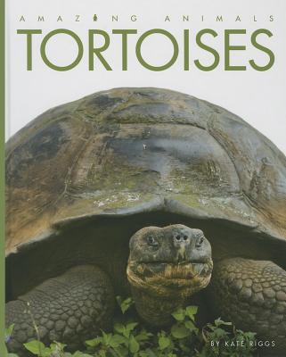 Tortoises (Amazing Animals) By Kate Riggs Cover Image