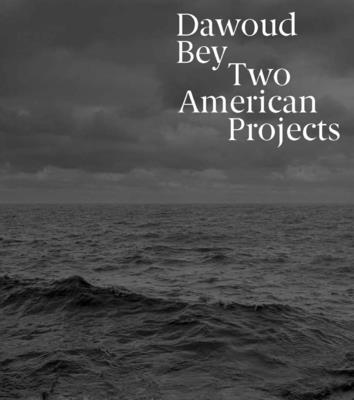 Dawoud Bey: Two American Projects By Corey Keller, Elisabeth Sherman, Torkwase Dyson (Contributions by), Steven Nelson (Contributions by), Imani Perry (Contributions by), Claudia Rankine (Contributions by) Cover Image
