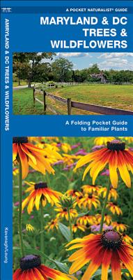 Maryland & DC Trees & Wildflowers: A Folding Pocket Guide to Familiar Plants (Pocket Naturalist Guide) By James Kavanagh, Waterford Press, Raymond Leung (Illustrator) Cover Image