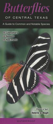 Butterflies of Central Texas: A Guide to Common & Notable Species By Valerie Bugh Cover Image