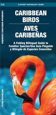 Caribbean Birds/Aves Caribenas: A Folding Pocket Guide to Familiar Species/Una Guia Plegable Portatil de Especies Conocidas By Waterford Press, Raymond Leung (Illustrator) Cover Image
