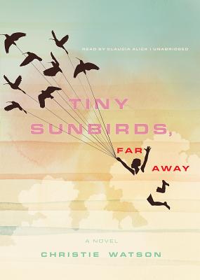 Cover for Tiny Sunbirds, Far Away