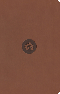 ESV Reformation Study Bible, Student Edition - Brown, Leather-Like By R. C. Sproul (Editor) Cover Image