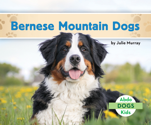 Bernese Mountain Dogs Cover Image
