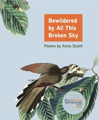 Cover for Bewildered by All This Broken Sky