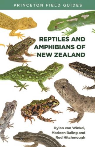 Reptiles and Amphibians of New Zealand (Princeton Field Guides #139) By Dylan Van Winkel, Marleen Baling, Rod Hitchmough Cover Image
