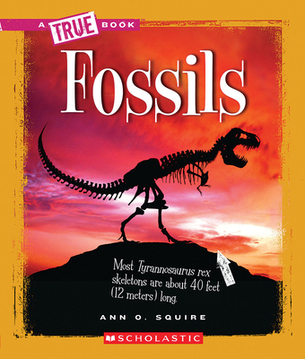 Fossils (A True Book: Earth Science) (A True Book (Relaunch)) Cover Image