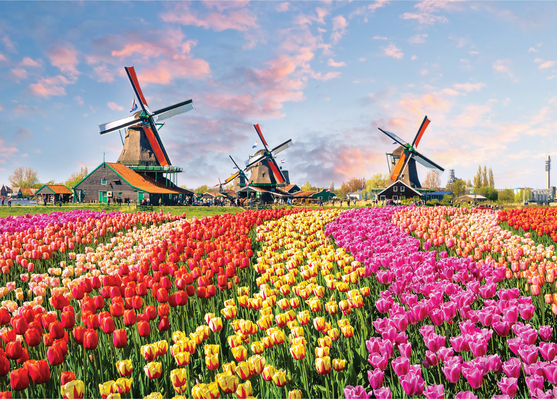 Windmills and Tulips 1000 Piece Jigsaw Puzzle  Cover Image