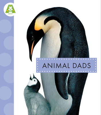 Animal Dads (Spot Best Ever Animals)