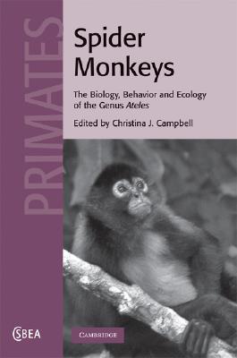 Spider Monkeys (Cambridge Studies in Biological and Evolutionary Anthropolog #55) By Christina J. Campbell (Editor) Cover Image