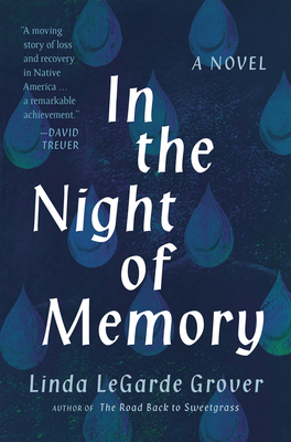 In the Night of Memory: A Novel Cover Image