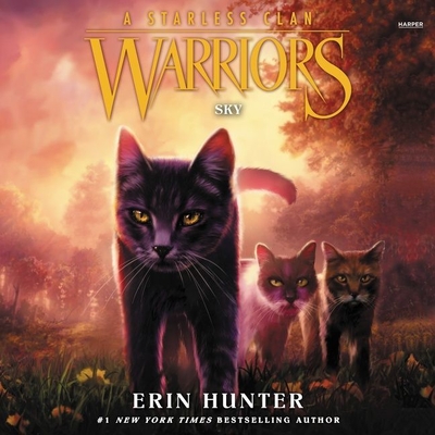 Warriors: A Starless Clan #2: Sky By Erin Hunter, MacLeod Andrews (Read by) Cover Image