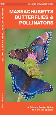 Massachusetts Butterflies & Pollinators: A Folding Pocket Guide to Familiar Species By James Kavanagh Cover Image