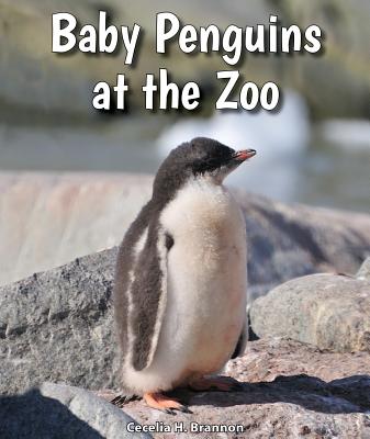 Baby Penguins at the Zoo (All about Baby Zoo Animals)