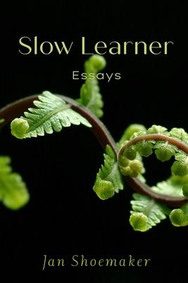 Slow Learner Cover Image