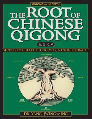 Qigong Foundation: Secrets of Health, Longevity, & Enlightenment