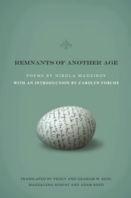 Remnants of Another Age Cover Image
