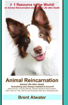 Animal Reincarnation: Everything You Always Wanted to Know! about Pet Reincarnation plus "how to" techniques to see, feel & communicate with