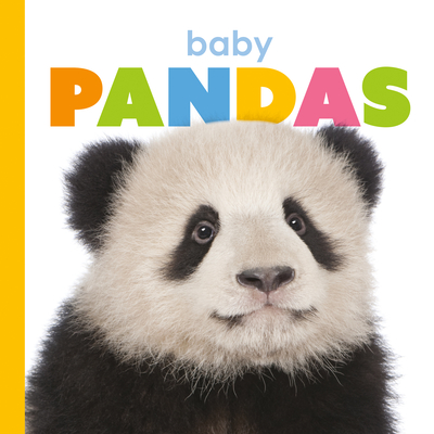 Baby Pandas (Starting Out) Cover Image