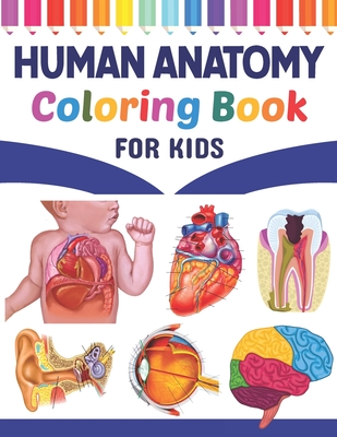 anatomy for kids coloring pages