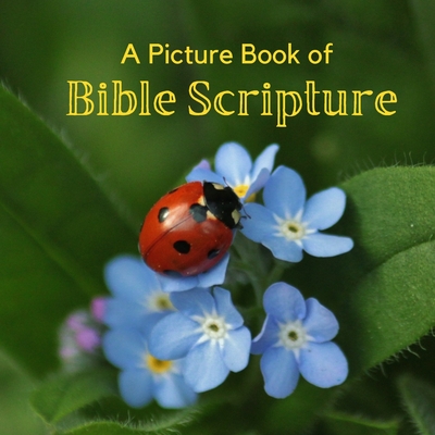 A Picture Book of Bible Scripture: A Beautiful Large Print Picture Book for Seniors With Alzheimer's or Dementia. Cover Image