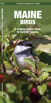 Maine Birds: A Folding Pocket Guide to Familiar Species Cover Image