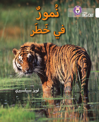 Collins Big Cat Arabic Tigers In Danger Level 10 Paperback The Reading Bug