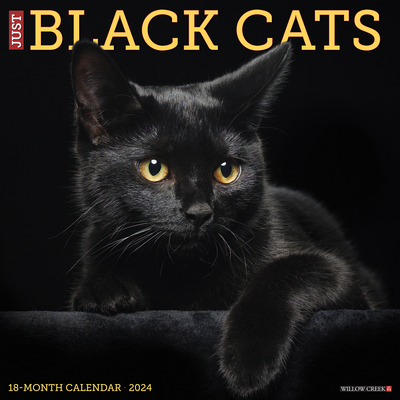 Just Black Cats 2024 12 X 12 Wall Calendar Cover Image