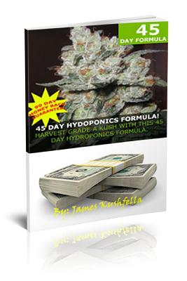 45 Day Hydroponic Formula Cover Image