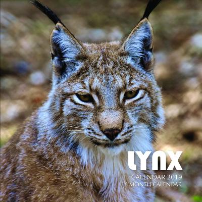 Lynx Calendar 2019: 16 Month Calendar Cover Image