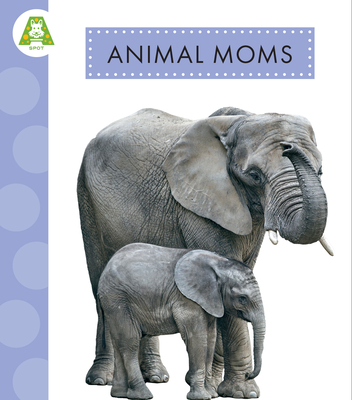 Animal Moms (Spot Best Ever Animals)