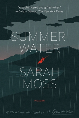 Summerwater: A Novel By Sarah Moss Cover Image