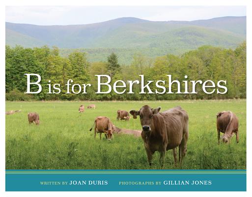 Cover for B Is for Berkshires