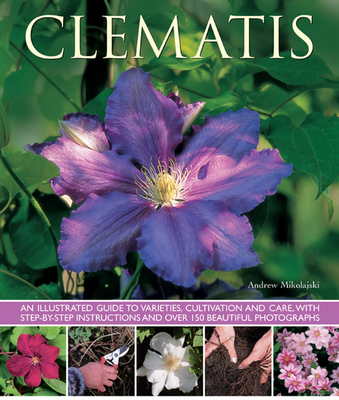 Clematis: An Illustrated Guide to Varieties, Cultivation and Care By Andrew Mikolajski Cover Image