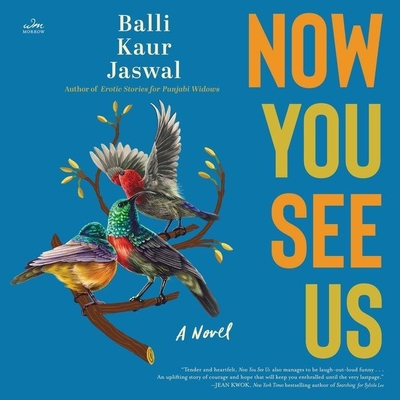 Now You See Us Cover Image