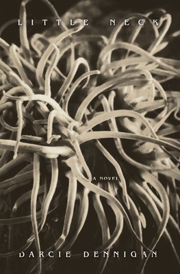 Little Neck By Darcie Dennigan Cover Image