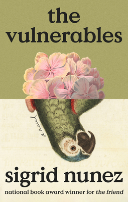 Cover for The Vulnerables