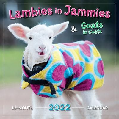 Lambies in Jammies & Goats in Coats 2022 Wall Calendar 16-Month By Edgar's Mission Inc Cover Image