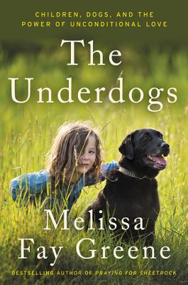 Cover for The Underdogs