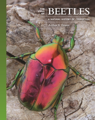 The Lives of Beetles: A Natural History of Coleoptera By Arthur V. Evans Cover Image