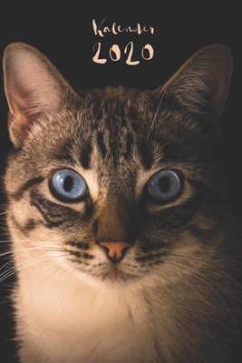 Kalender 2020: Katzen Katze Terminplaner Planer Wochenplaner I Geschenk für Babykatzen Fans Katzenliebhaber Katzenbesitzer Frauen zum By Publishing Katzen Kalender Und Planer Cover Image