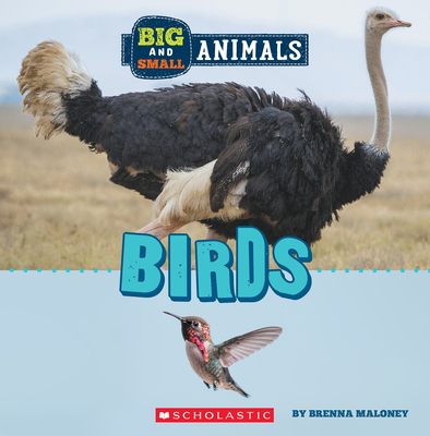 Birds (Wild World: Big and Small Animals) Cover Image