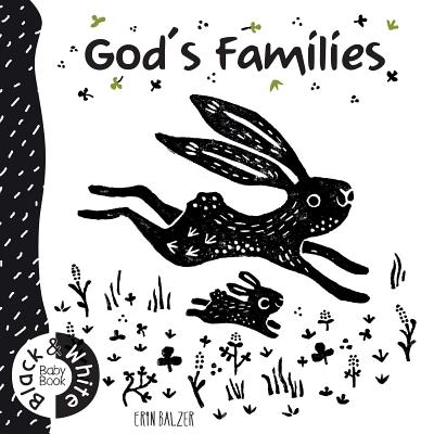 God's Families By Erin Balzer (Illustrator) Cover Image