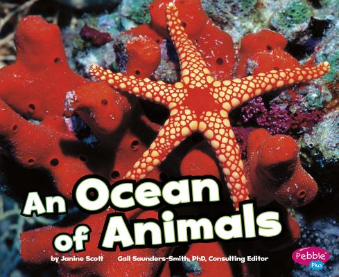 An Ocean of Animals (Habitats Around the World) By Janine Scott Cover Image