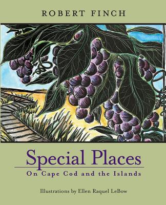 Special Places on Cape Cod and the Islands By Robert Finch, Ellen Raquel LeBow (Illustrator) Cover Image
