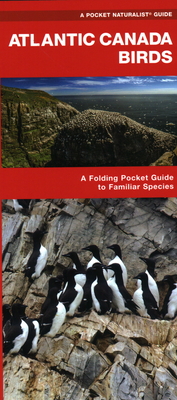 Atlantic Canada Birds: A Folding Pocket Guide to Familiar Species (Other)