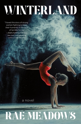 Cover Image for Winterland: A Novel